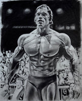 Arnold Schwarzenegger